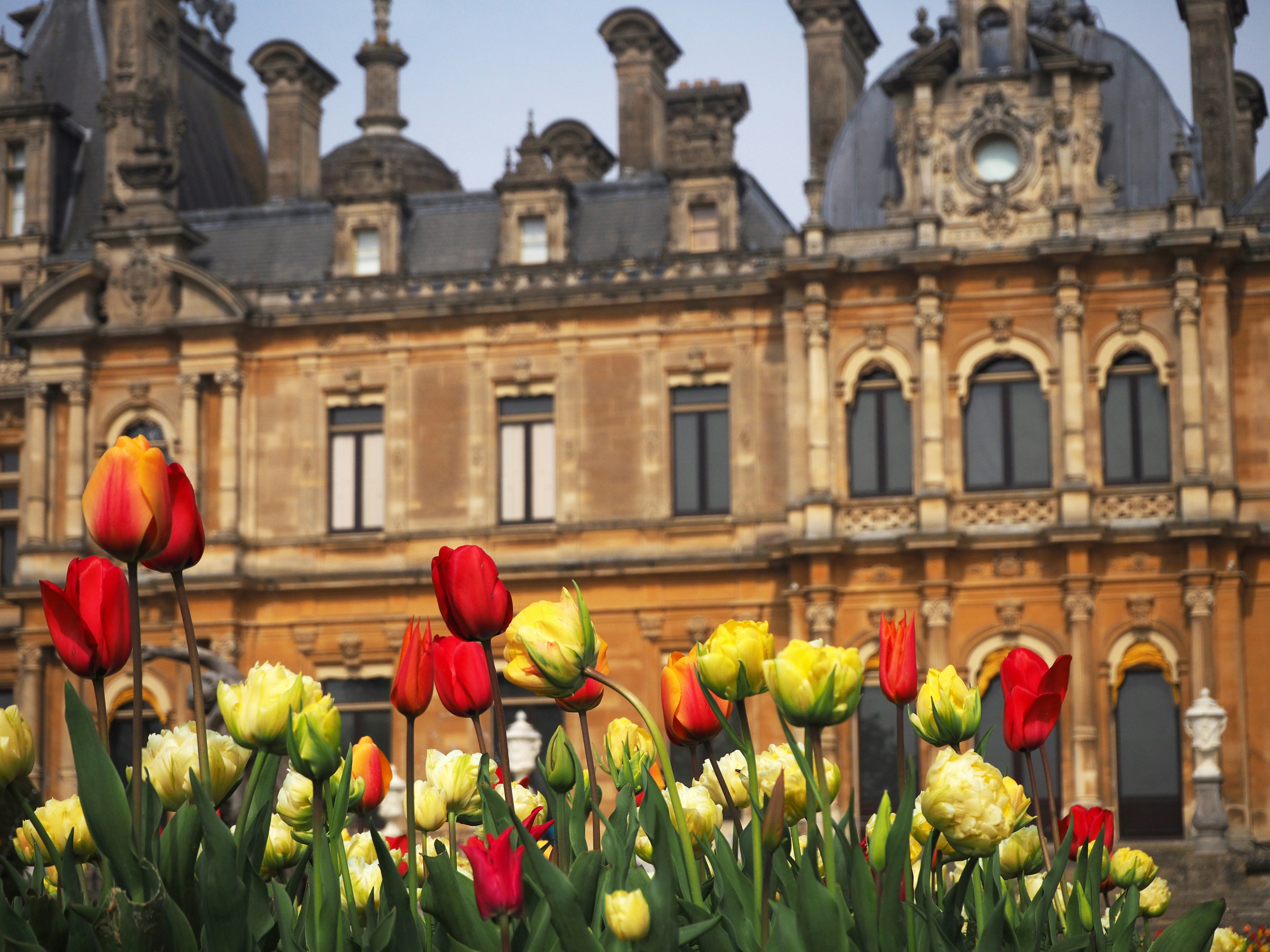 Aylesbury med besk p Waddesdon Manor